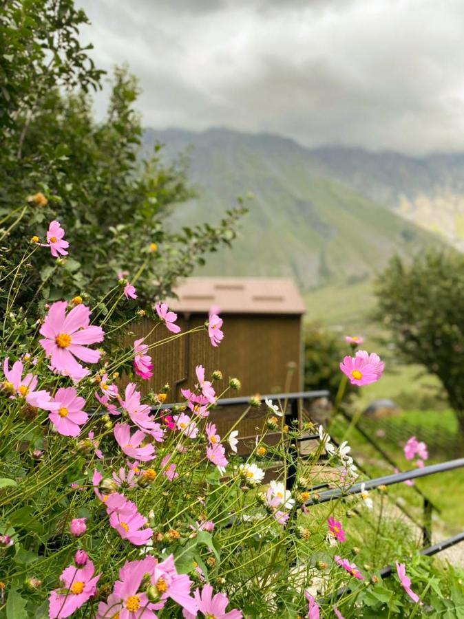 Apartmán My Space Kazbegi Exteriér fotografie